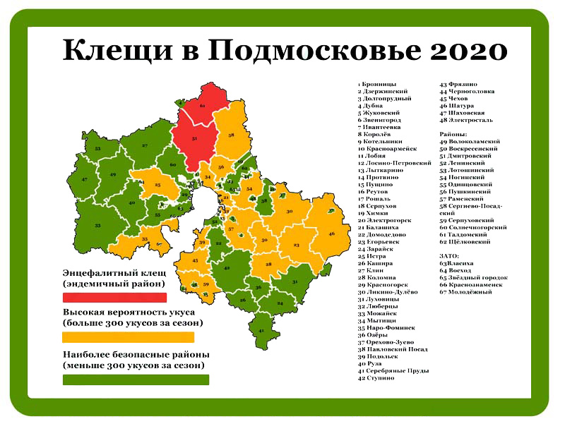 Клещи в подмосковье 2021 – опасные районы московской области