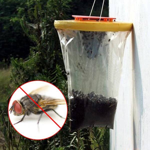 Народные средства от мух в доме