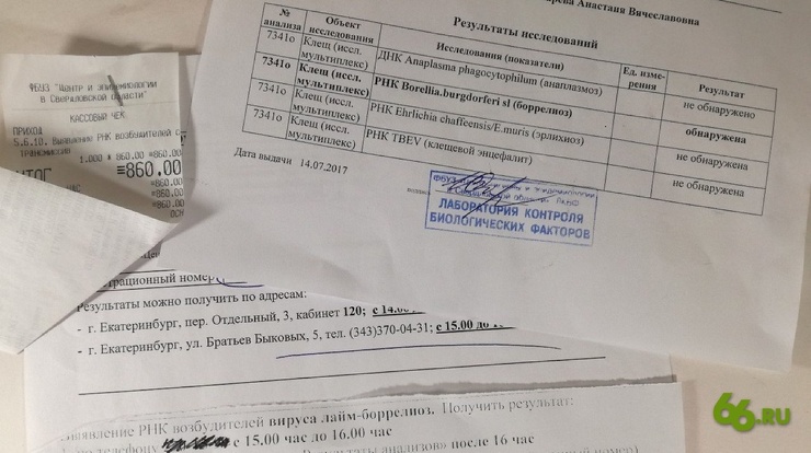 Адреса лабораторий и пунктов профилактики клещевых инфекций