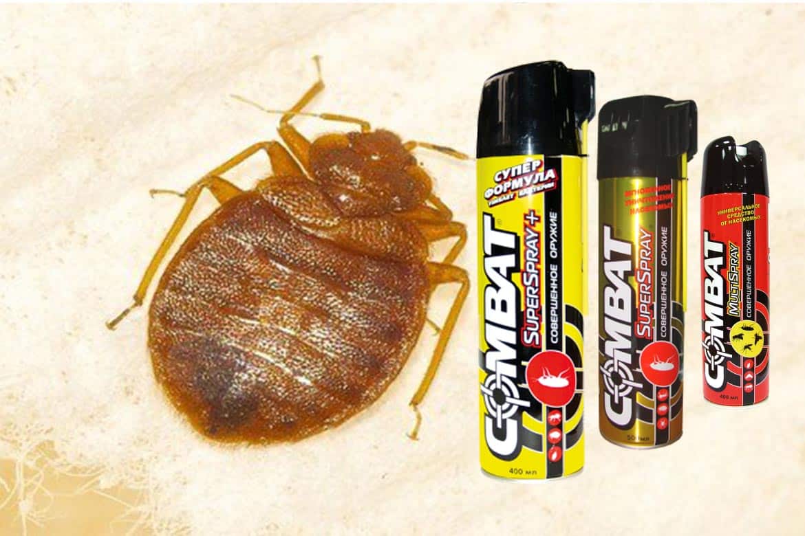 Дихлофос от тараканов без запаха состав, инструкция по применению, эффективность, вред для людей отзывы