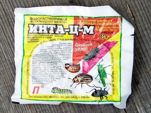 Инта-вир: инструкция по применению, отчего помогает и отзывы