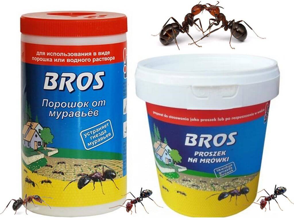 Лучшие средства от муравьев