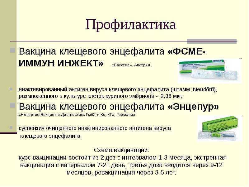 Вакцина против болезни лайма