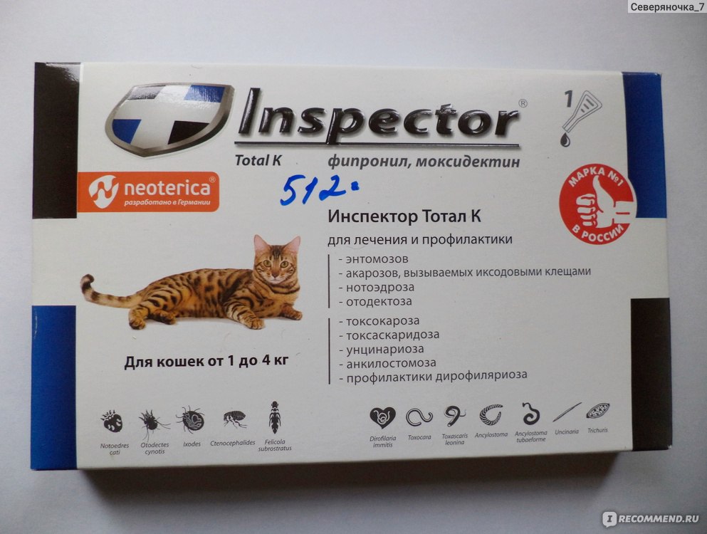 Средства и препараты, эффективно избавляющие кошек от блох