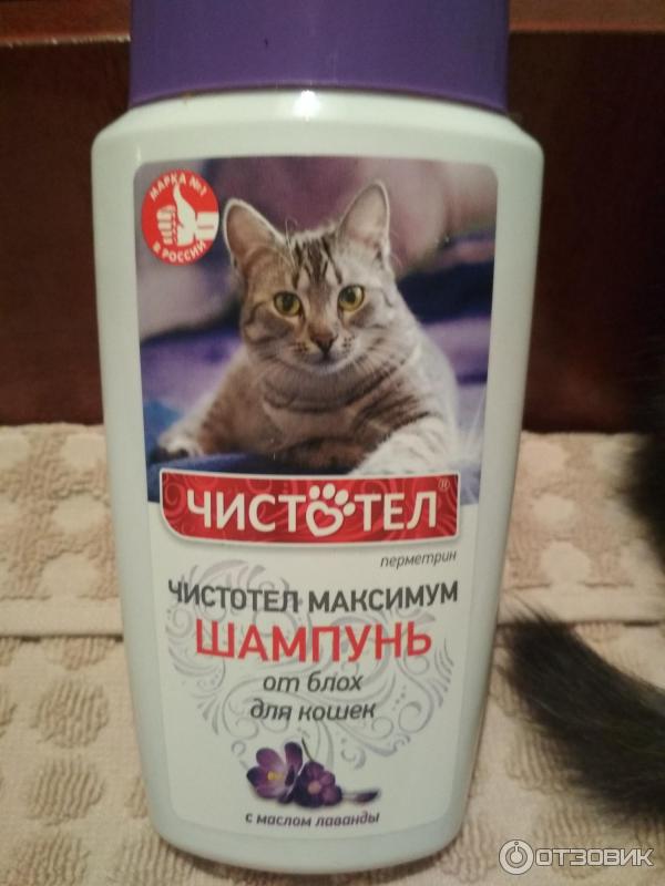Шампунь от блох и клещей для кошек: отзывы, какой лучше, использование дегтярного мыла