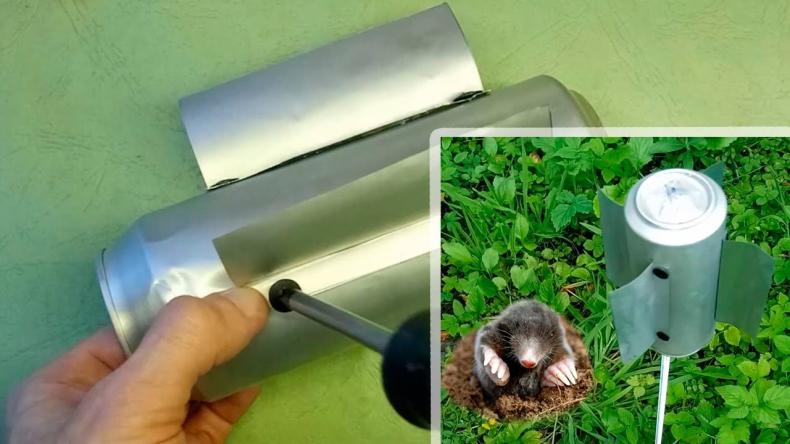 Как избавиться от мышей и крыс в огороде раз и навсегда