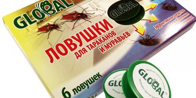 Как избавиться от тараканов в общежитии: основные средства борьбы