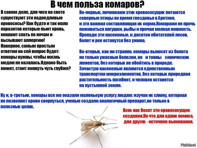 Для чего в природе нужны комары