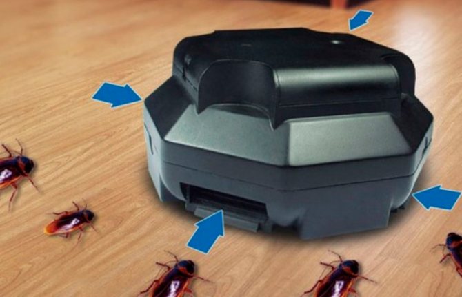Как сделать ловушки для тараканов в домашних условиях