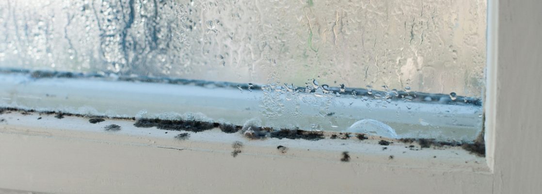 Плесень на пластиковых окнах – как избавиться, причины, эффективные средства