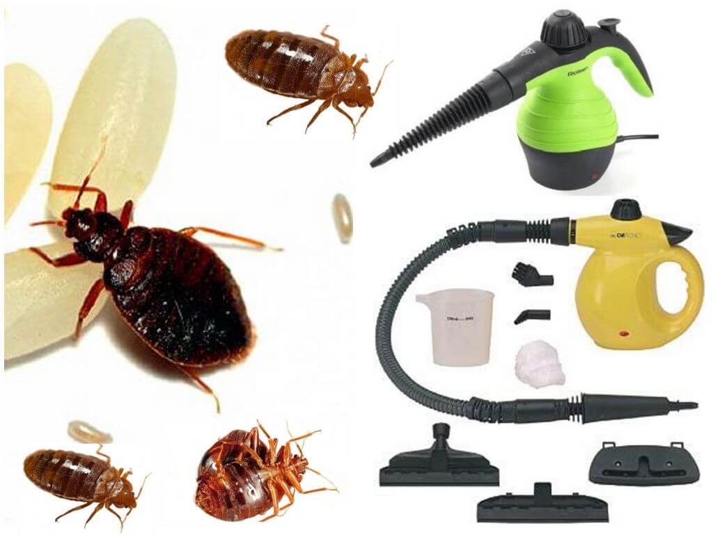 Обработка одежды и вещей от клопов и насекомых, использование парогенератора