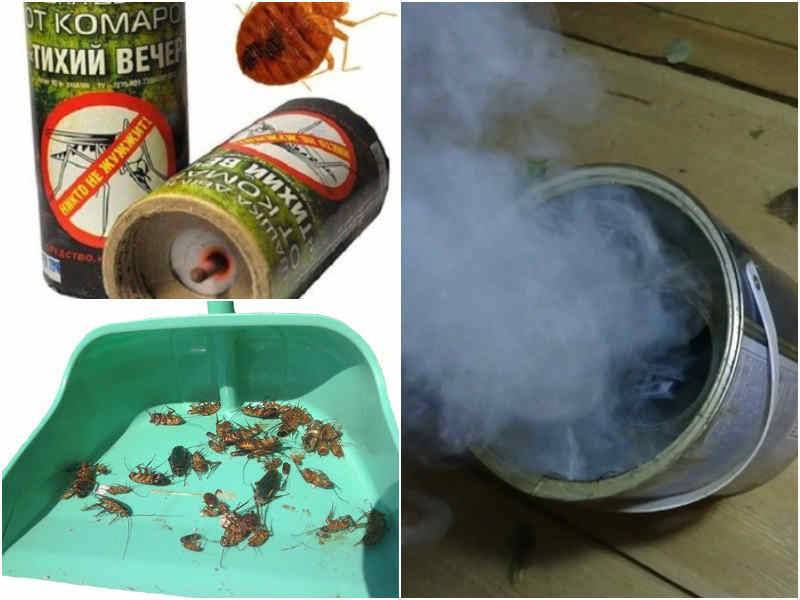 Дымовая шашка от клопов: виды, отзывы, как использовать самостоятельно в домашних условиях