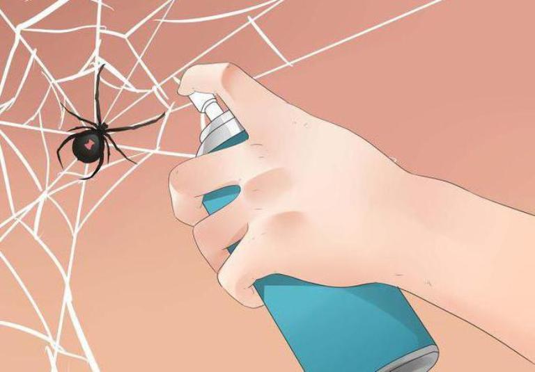 Как избавиться от пауков в квартире