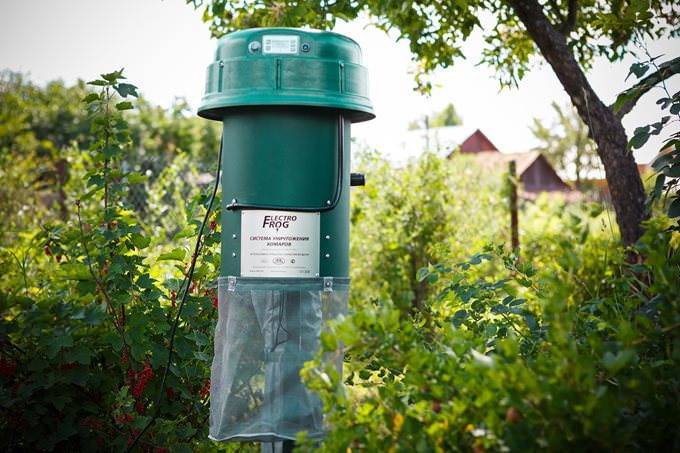 Как избавиться от комаров на даче: рабочие методы защиты и уничтожения комаров на участке