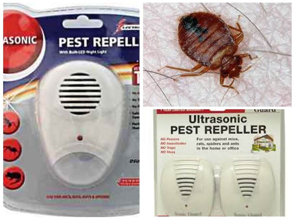 Средство pest reject от тараканов - отзывы и описание