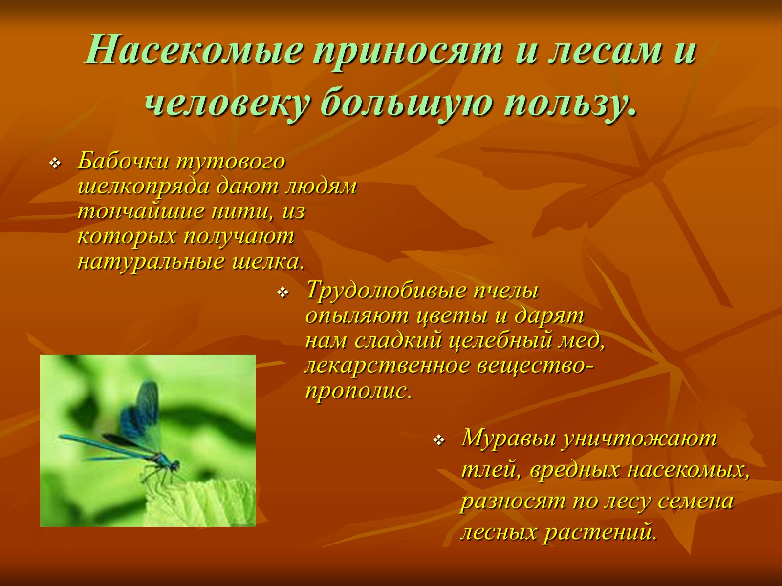 Какие насекомые одомашненные человеком: 9 примеров полезного сожительства