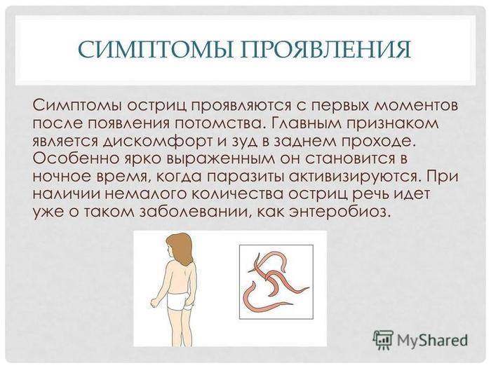Самая полезная статья про анализ кала на энтеробиоз