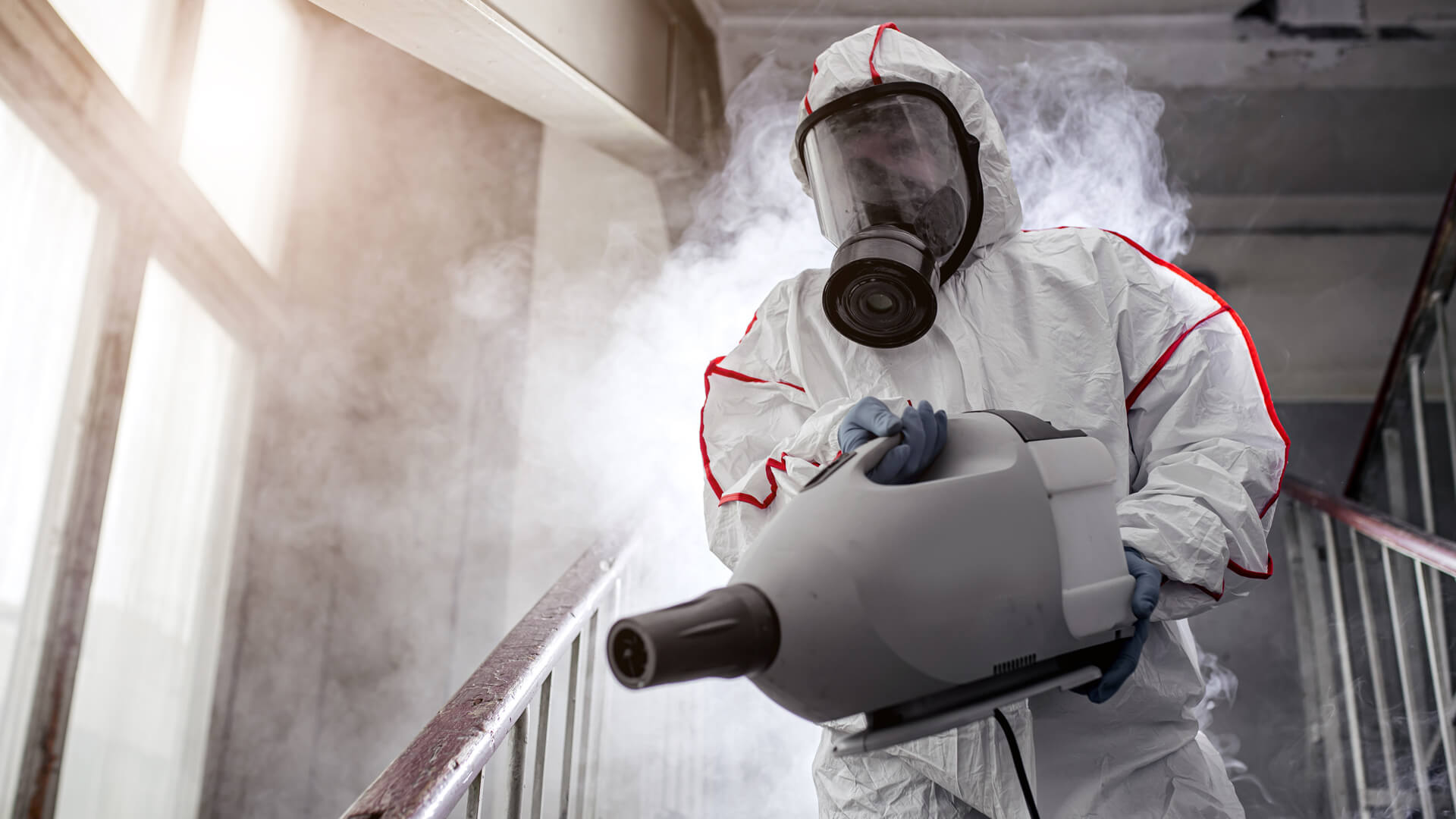 Комары в подвале частного и многоквартирного дома: как избавиться?