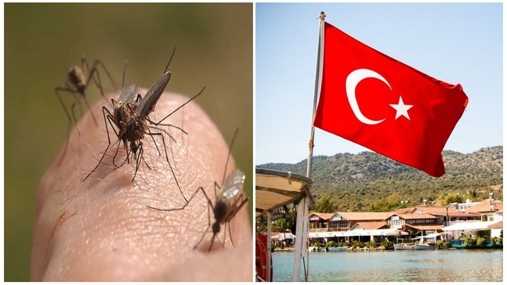 Есть ли комары в Турции