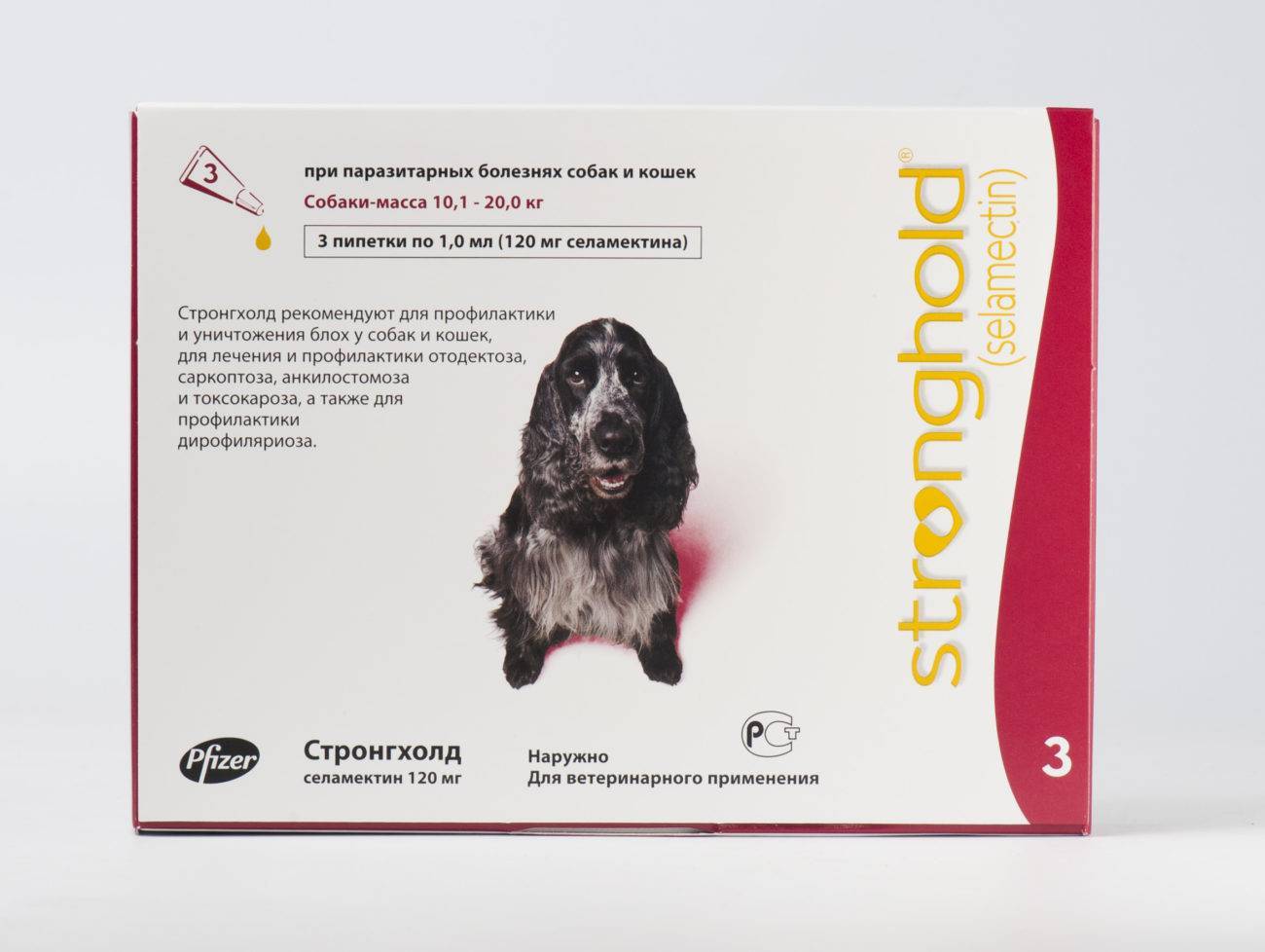 Стронгхолд для собак: описание и состав, показания и инструкция к применению, дозировка селамектина