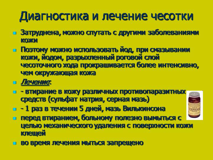 Чесотка у кошек