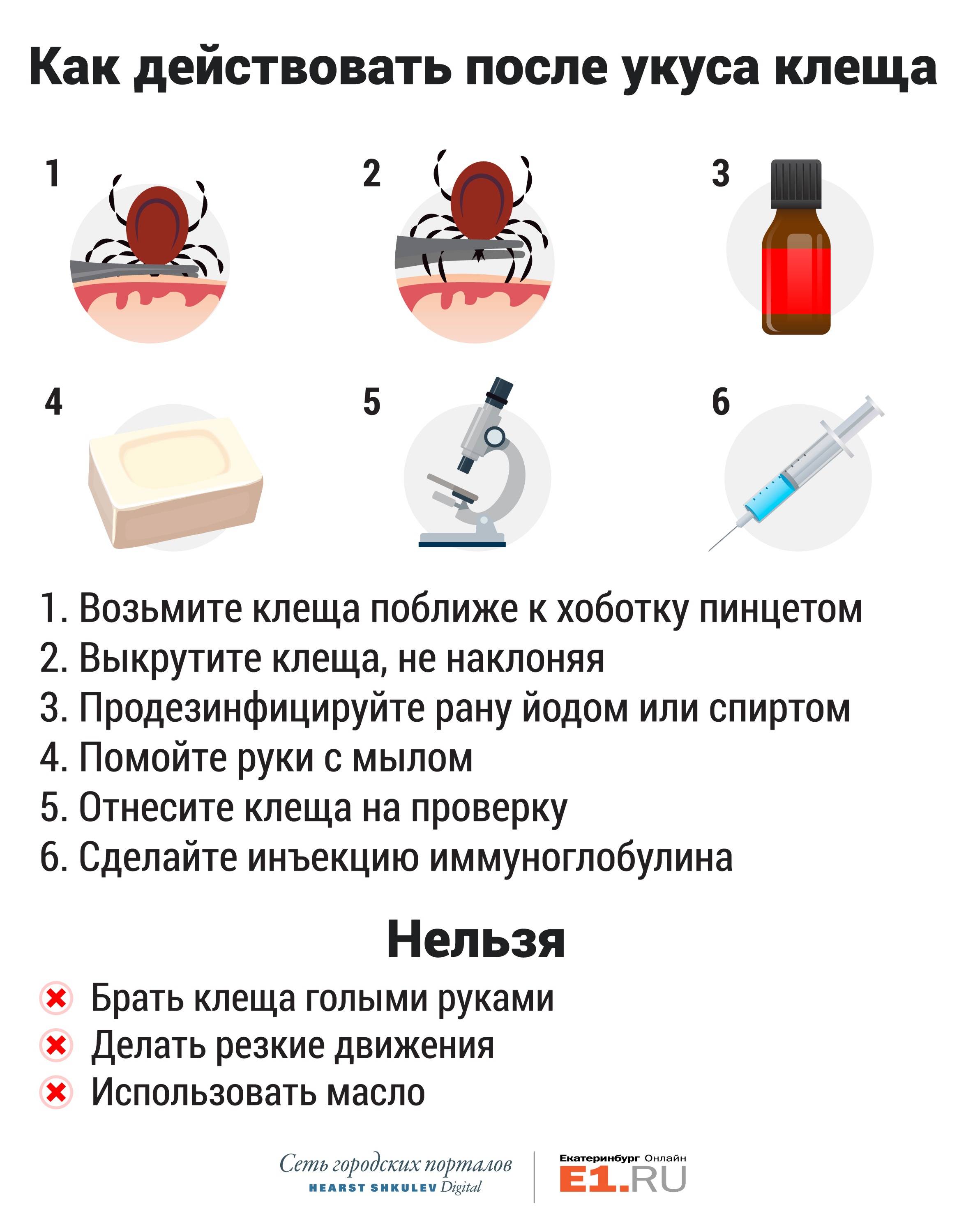 Прививка против клещевого энцефалита