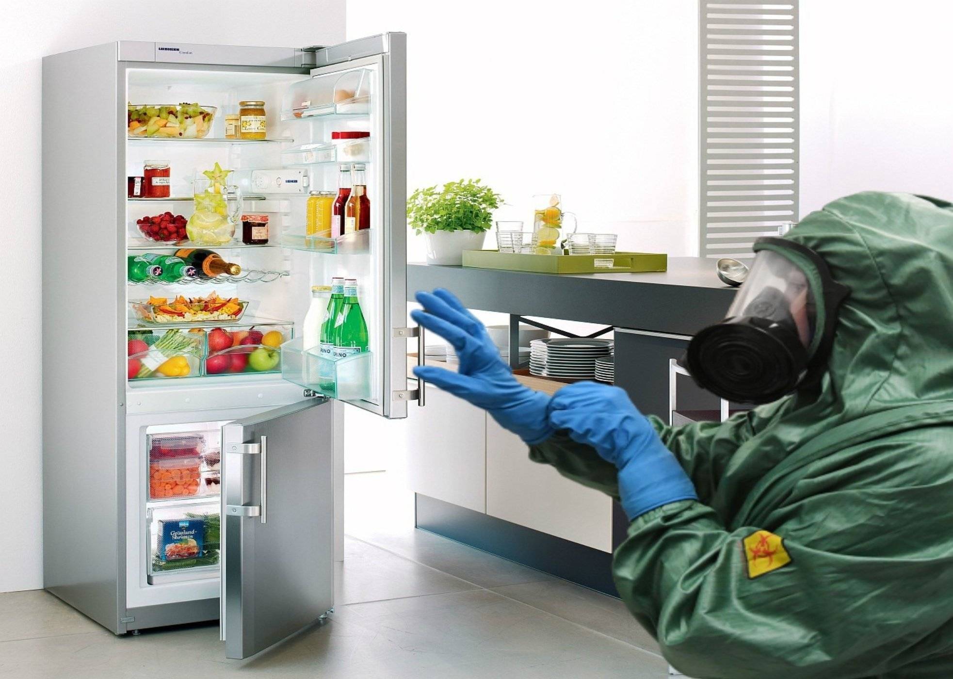 Sos! как убрать запах протухшего мяса в холодильнике?