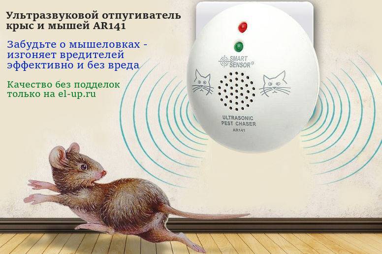 Отпугиватель крыс и мышей чистый дом и отзывы о его применении (а также несколько слов о яде)