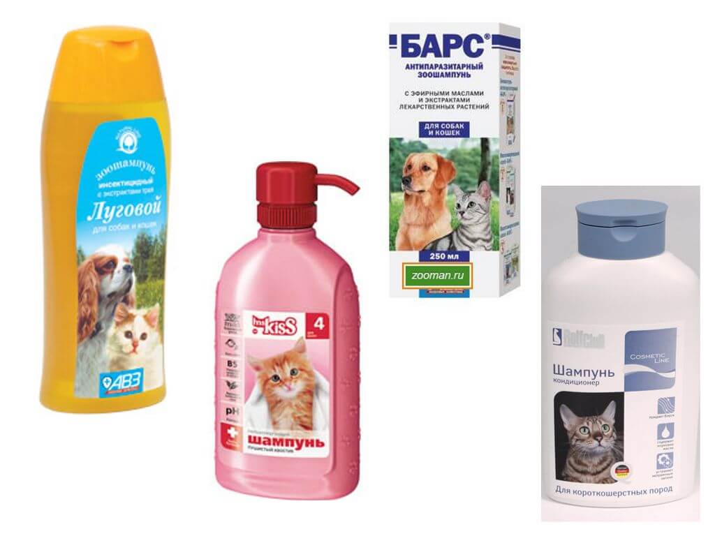Барс (шампунь) для собак и щенков, кошек и котят, отзывы от ветеринаров и заводчиков