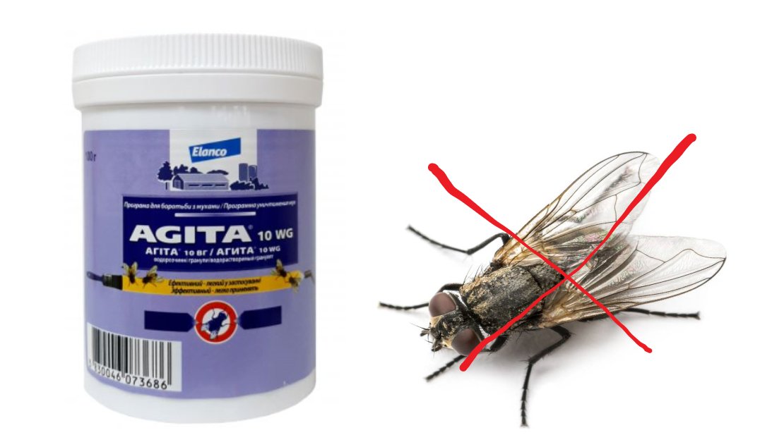 Как избавиться от мух в квартире, частном доме, на даче, в сарае? обзор народных методов и химических средств от мух