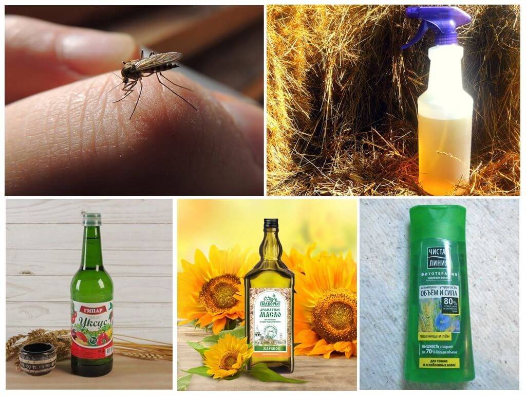 Народное средство от комаров: самые эффективные методы борьбы в домашних условиях / как избавится от насекомых в квартире