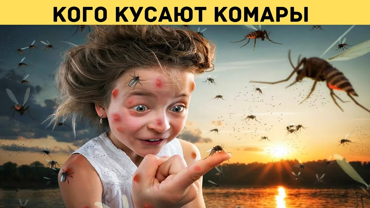 Почему комары кусают не всех?