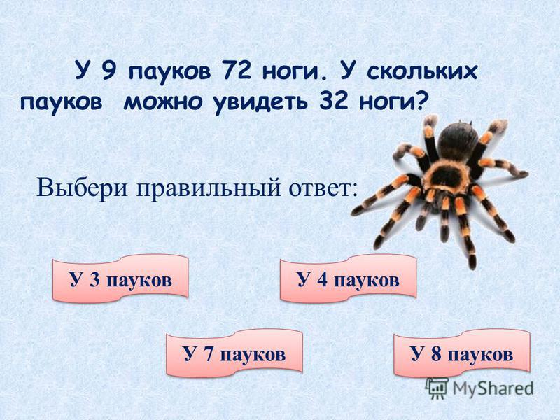 Сколько лап у паука