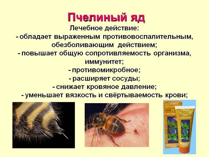 Жало | справочник пестициды.ru