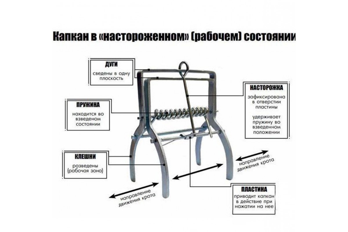 Кротоловки своими руками чертежи