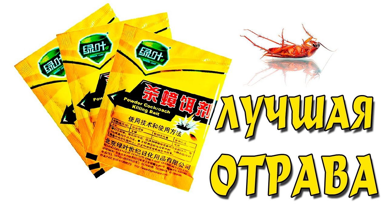 Топ-10 эффективных средств от тараканов