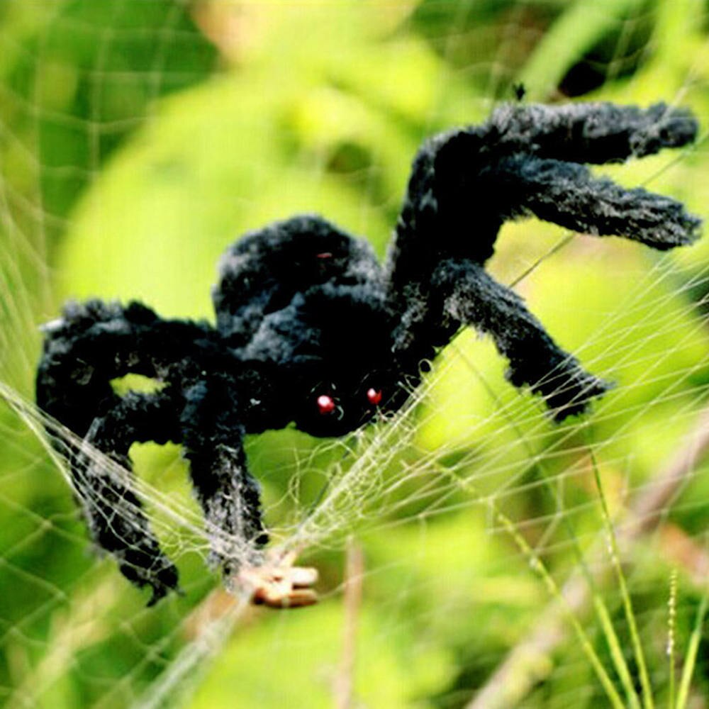 В россии открыт новый вид самого страшного паука в мире - hi-news.ru
