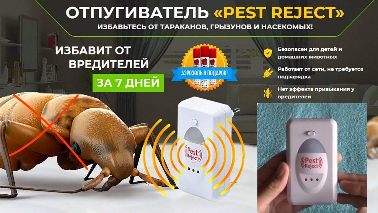 Pest reject: ультразвуковой отпугиватель насекомых и грызунов, описание и инструкция по использованию