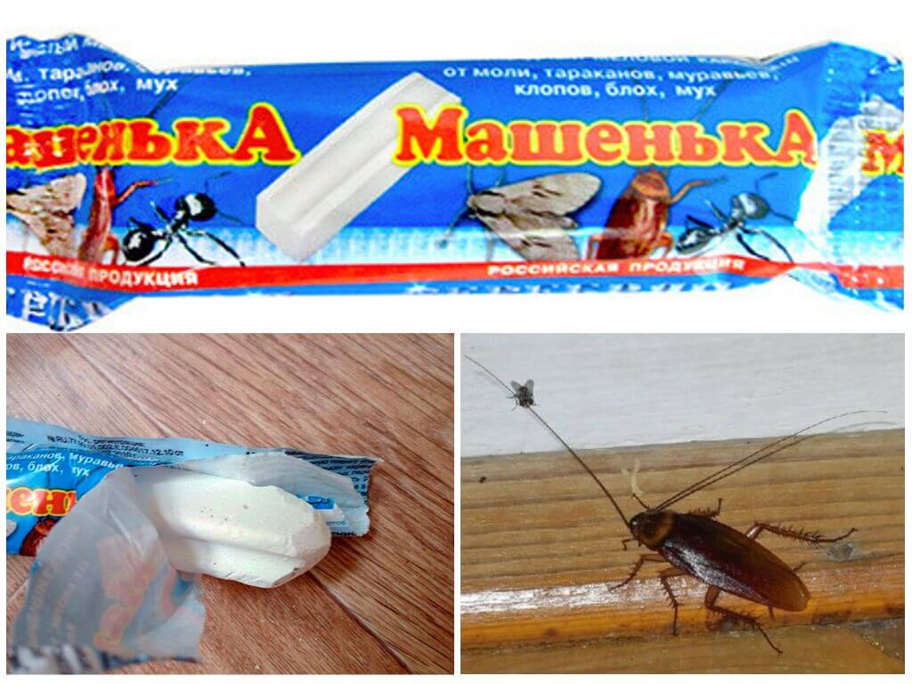 Мелок машенька от тараканов - отзывы и инструкция по применению