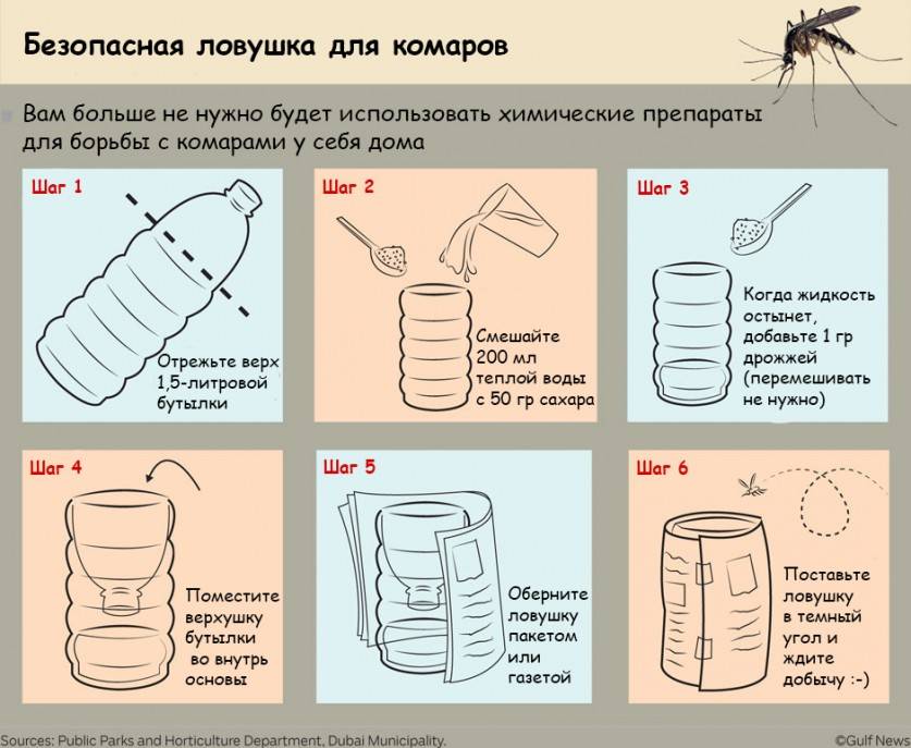 Народные средства от комаров: рецепты для приготовления в домашних условиях своими руками из подручных средств