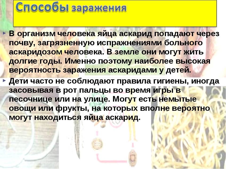 Нематоды против почвообитающих насекомых на supersadovnik.ru