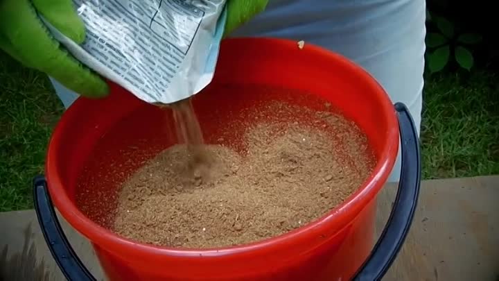Табачная пыль для обработки огурцов: как правильно обсыпать, опрыскивать, окуривать и удобрять