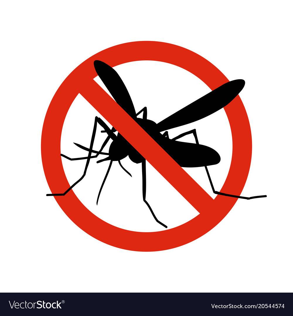 К чему снится комар - значение сна комар по соннику