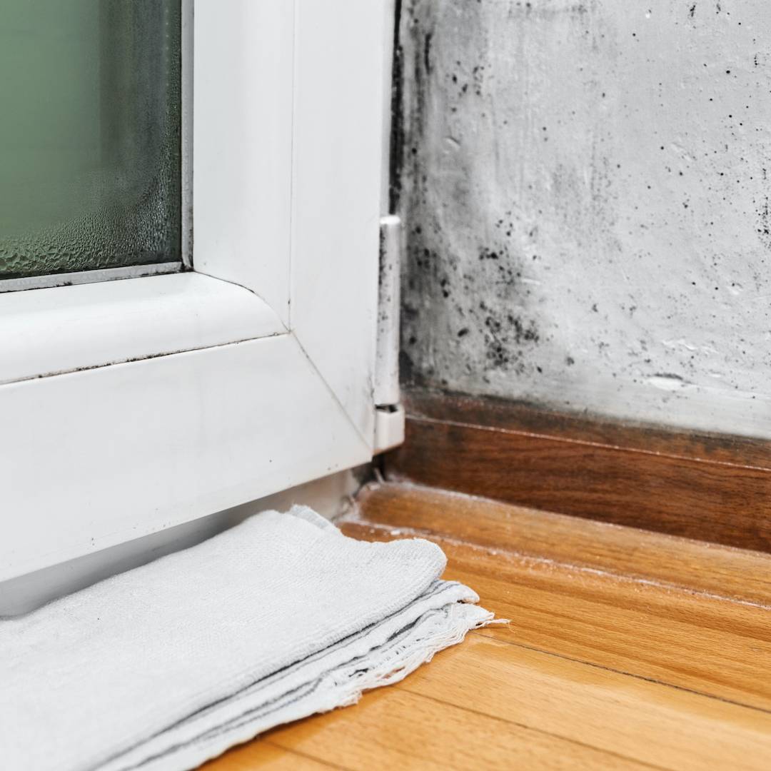 Плесень на пластиковых окнах и откосах: возможные причины, как избавиться в домашних условиях