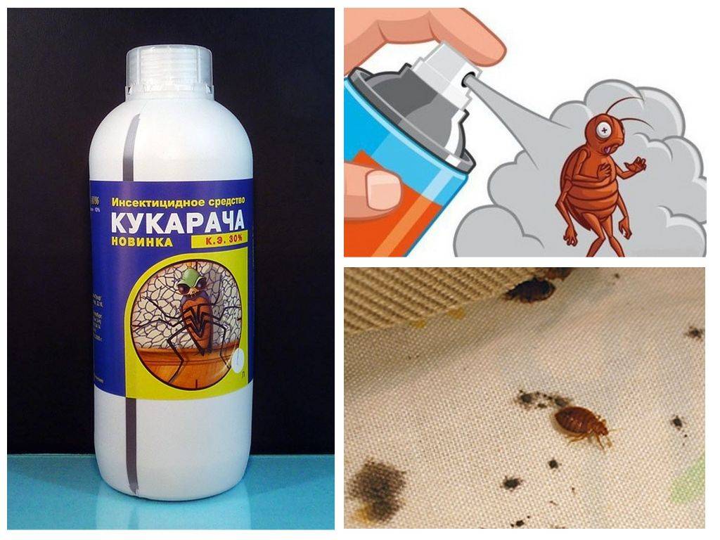 Средство от тараканов и клопов «кукарача» (50 гр): инструкция по использованию, купить в москве и спб
