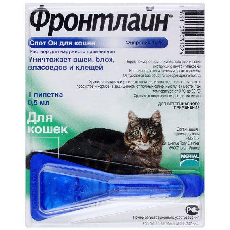 Препараты от кошачьих блох: таблетки, спреи, ошейники, народные средства