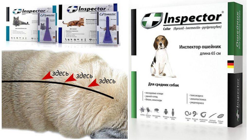 Инспектор капли для собак от блох, клещей и других паразитов