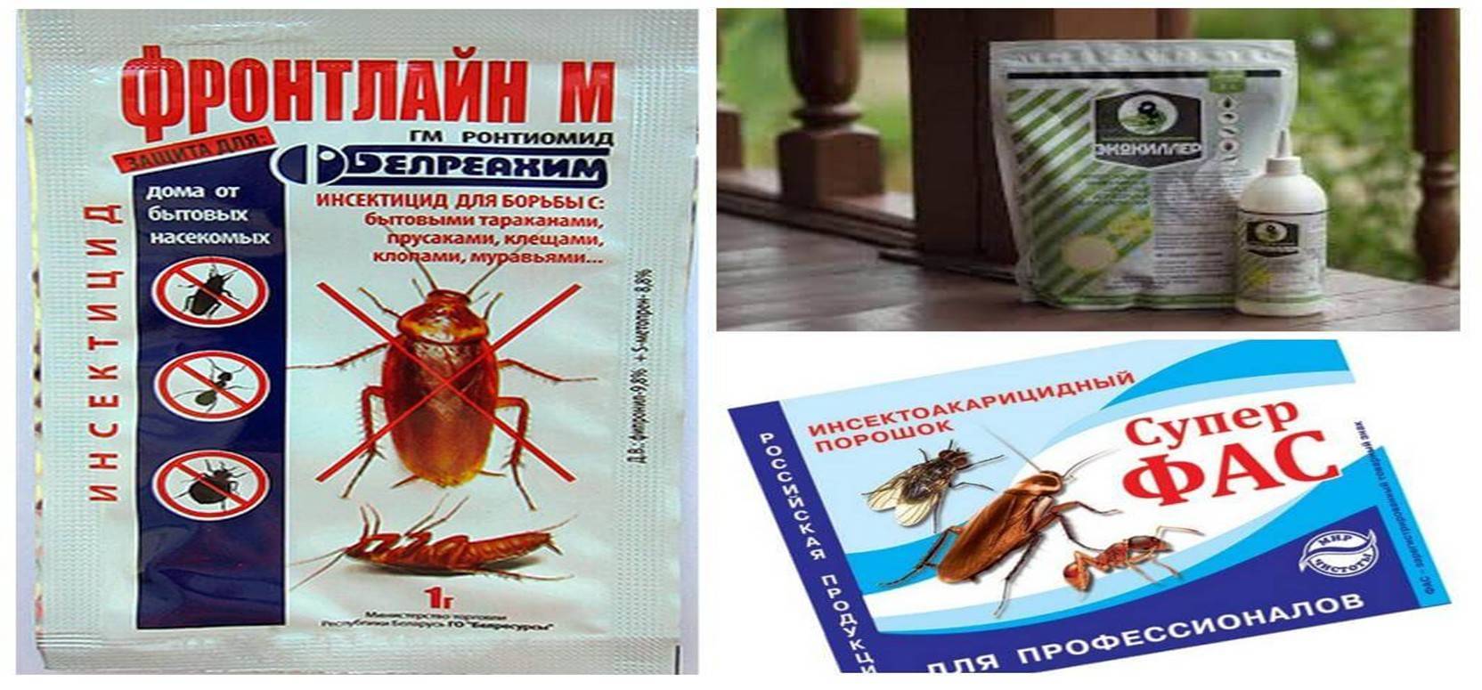 Какое самое эффективное средство от тараканов?
