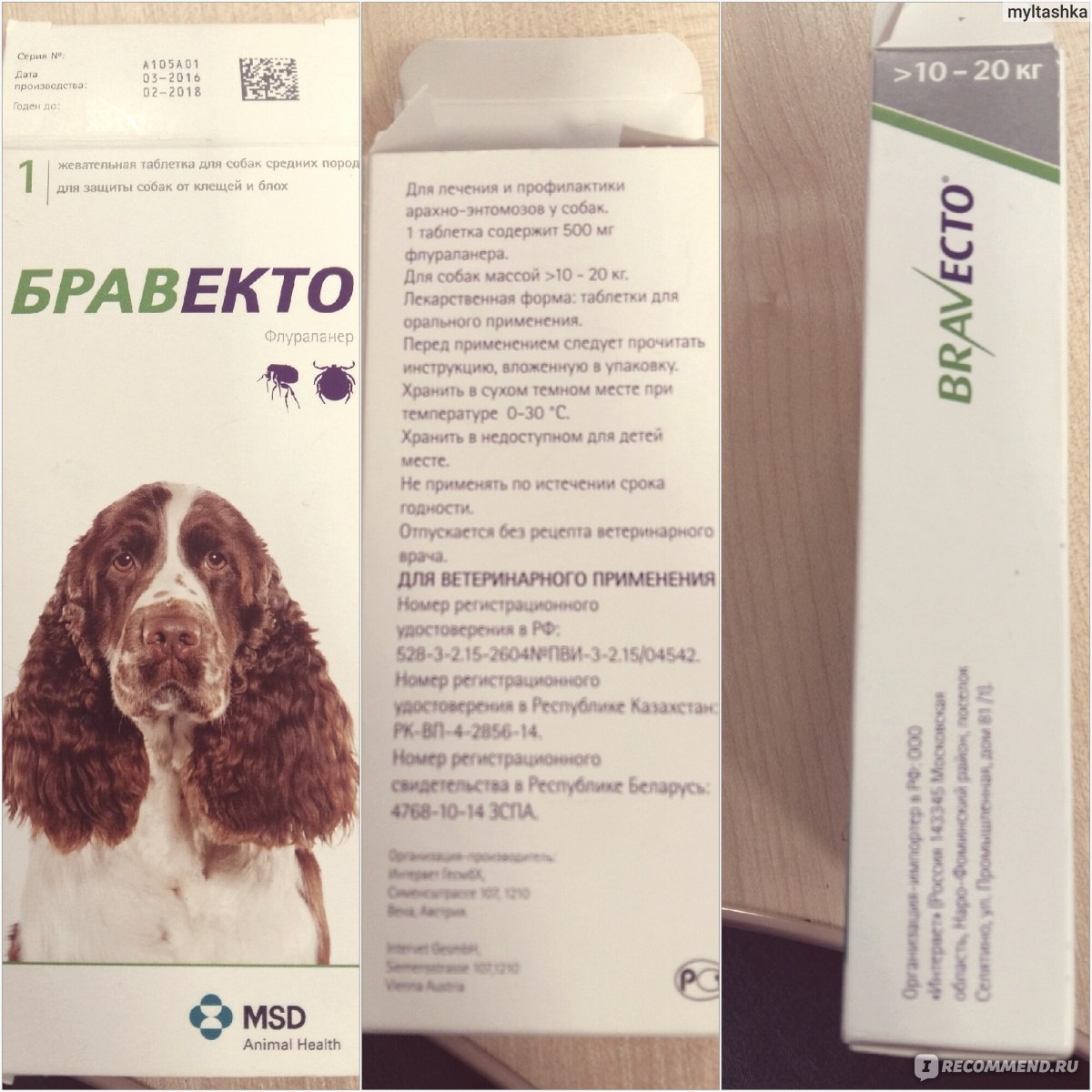 Жевательные таблетки «бравекто» для защиты собак от блох и клещей: состав, инструкция по применению