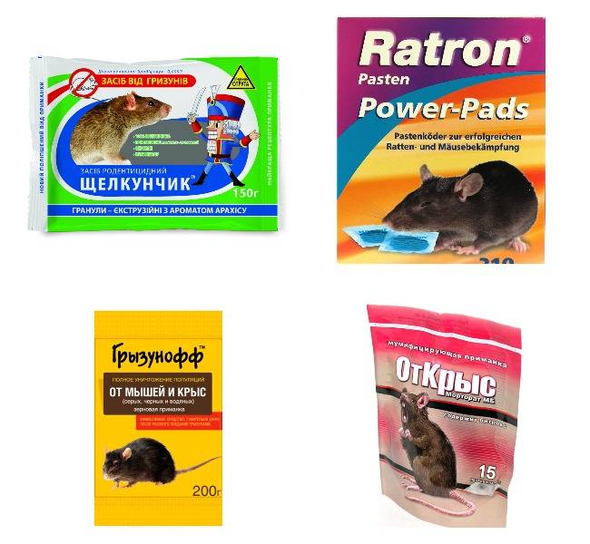 Отрава для мышей - лучшие препараты